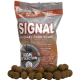Starbaits Performance Concept Signal 24mm 1kg